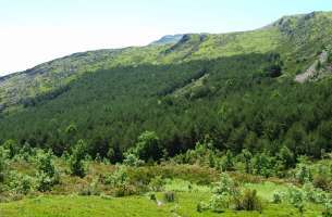 Valverde de los Arroyos: Anticlinorio de Galve