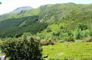 Valverde de los Arroyos: Anticlinorio de Galve