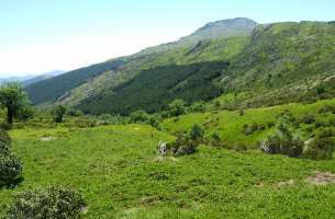 Valverde de los Arroyos: Anticlinorio de Galve