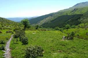 Valverde de los Arroyos: Anticlinorio de Galve