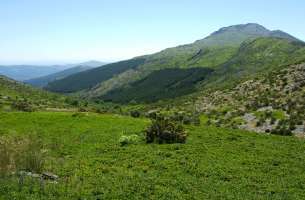 Valverde de los Arroyos: Anticlinorio de Galve