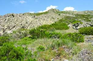 Valverde de los Arroyos: Anticlinorio de Galve