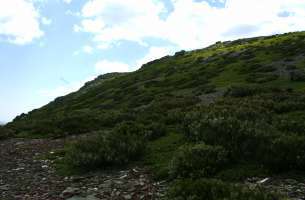 Valverde de los Arroyos: Anticlinorio de Galve