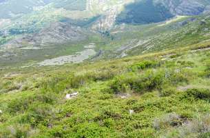 Valverde de los Arroyos: Anticlinorio de Galve