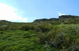 Valverde de los Arroyos: Anticlinorio de Galve