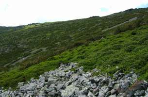 Valverde de los Arroyos: Anticlinorio de Galve