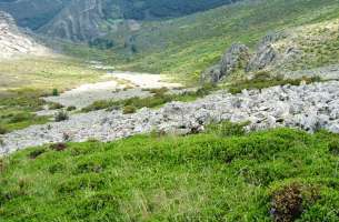 Valverde de los Arroyos: Anticlinorio de Galve