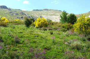 Valverde de los Arroyos: Anticlinorio de Galve