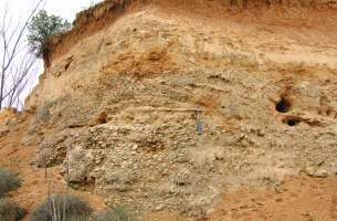 Pozo de Almoguera - Yebra - Almoguera: Silicificaciones y Yesos