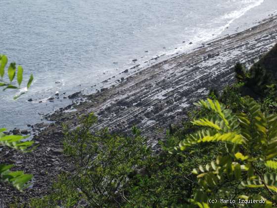 Deba: Flysch