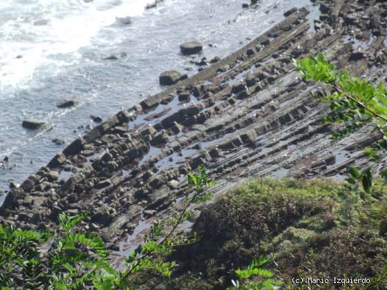 Deba: Flysch