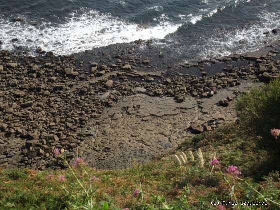 Deba: Flysch