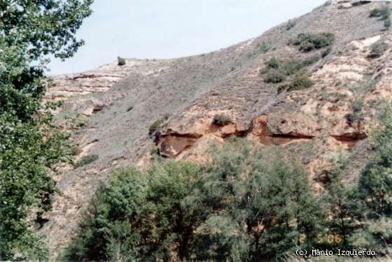 Humanes / Cerezo de Mohernando: Paleocanal