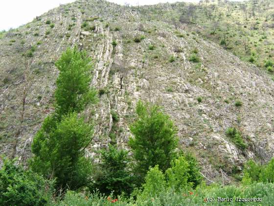 Jabalera: Flanco de un anticlinal