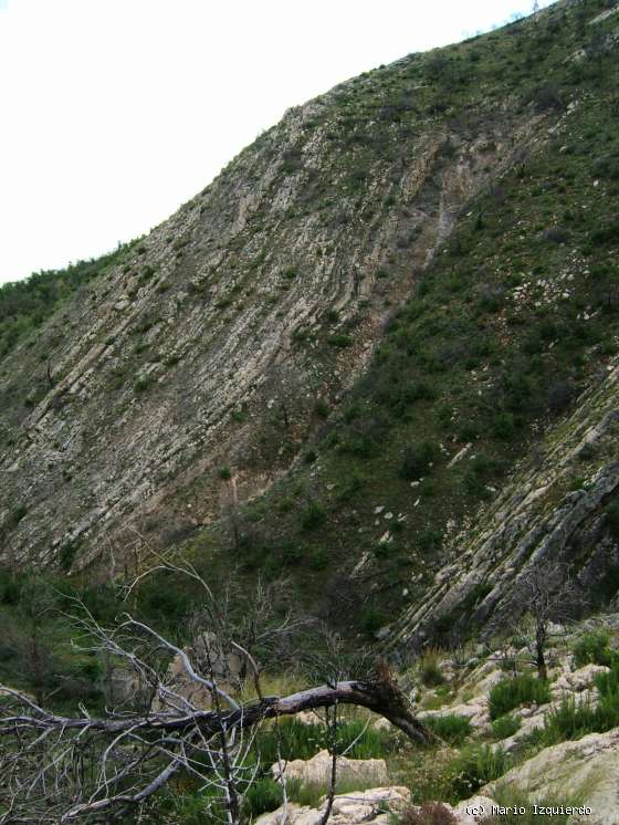 Jabalera: Flanco de anticlinal