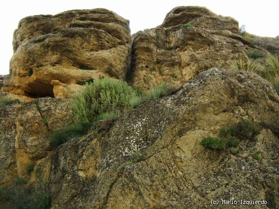 Jabalera: Areniscas del Arveniense (Oligoceno)