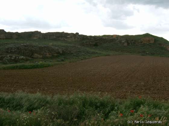 Jabalera: Oligoceno: Limos arcillosos y areniscas