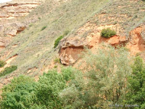 Humanes / Cerezo de Mohernando: Paleocanal