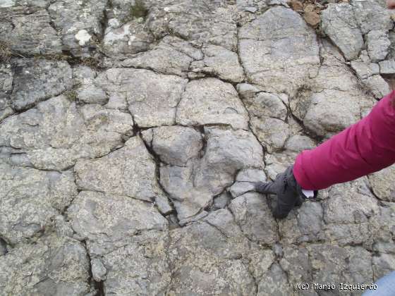 Cornago: Yacimiento de Poyales y tectónica