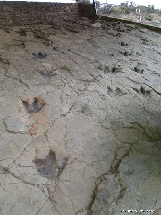 Cornago: Yacimiento de Poyales y tectónica