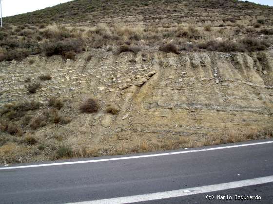 Cornago: Yacimiento de Poyales y tectónica