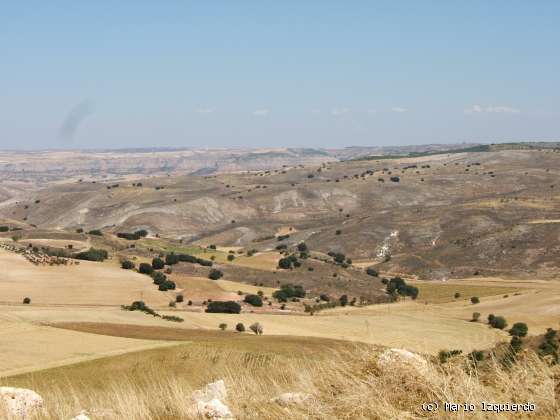 Loranca del Campo