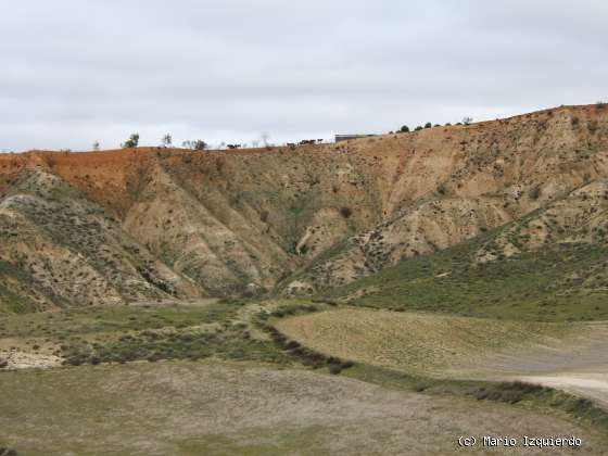 Paracuellos del Jarama: Arenas fluviales