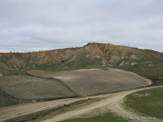 Paracuellos del Jarama: Arenas fluviales