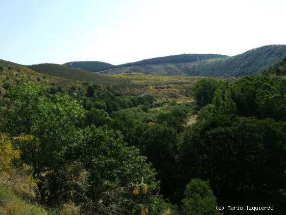 Patones-Torrelaguna: Discordancia Cretácico-Ordovícico