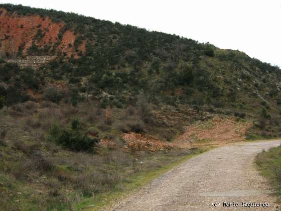 Retiendas: Carbonífero