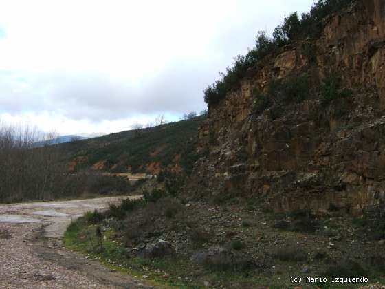 Retiendas: Carbonífero