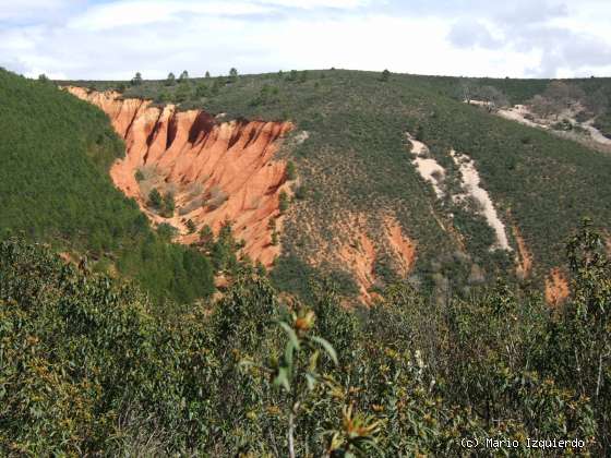 El Vado: Ordovícico