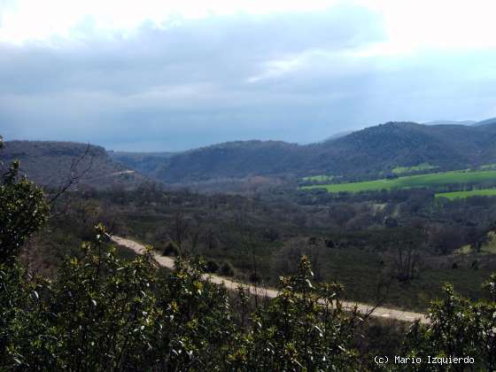 El Vado: Ordovícico