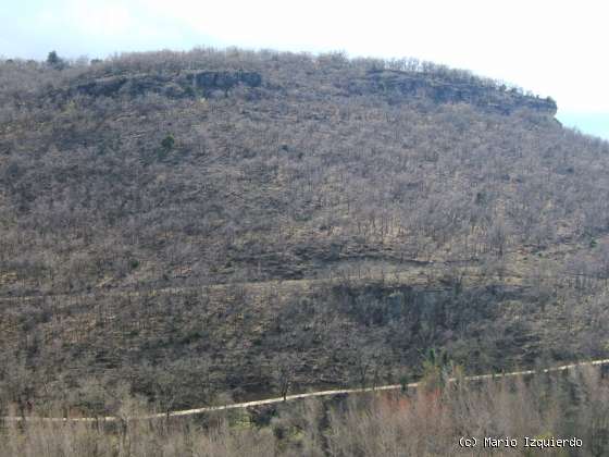 Retiendas: Carbonífero