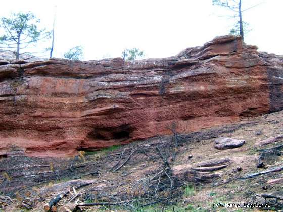 Riba de Saelices: Buntsandstein: Conglomerados y arenisca