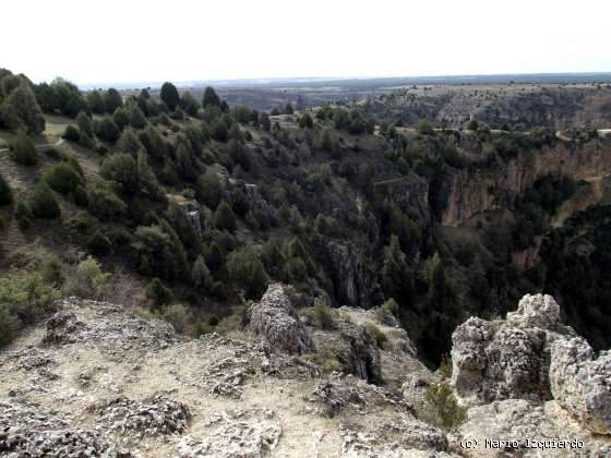 Hoces del Río Duratón