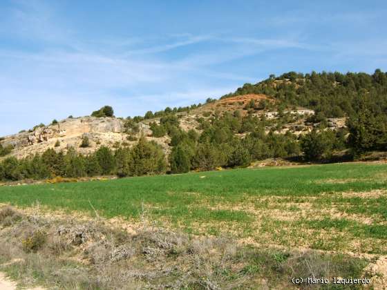 Alcubilla del Marqués (II): Secuencia Fluvial