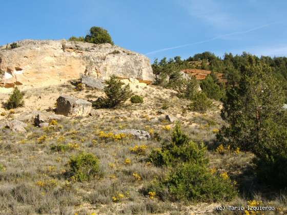 Alcubilla del Marqués (II): Secuencia Fluvial