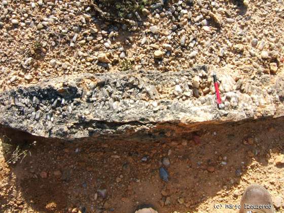 Alcubilla del Marqués (II): Secuencia Fluvial