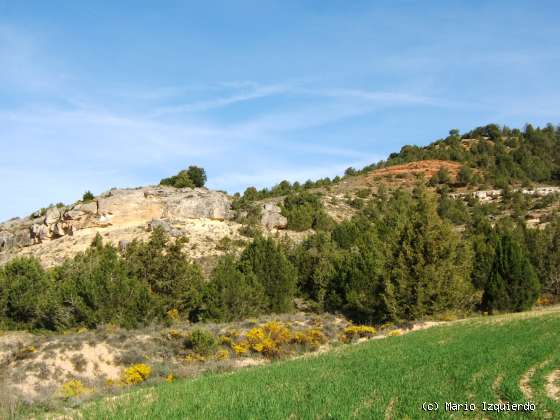 Alcubilla del Marqués (II): Secuencia Fluvial