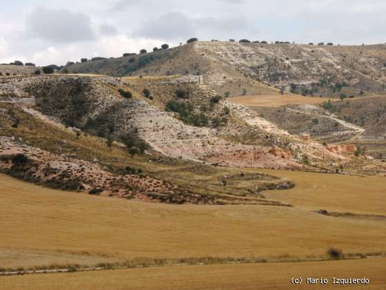 Arcos de Jalón: Mioceno