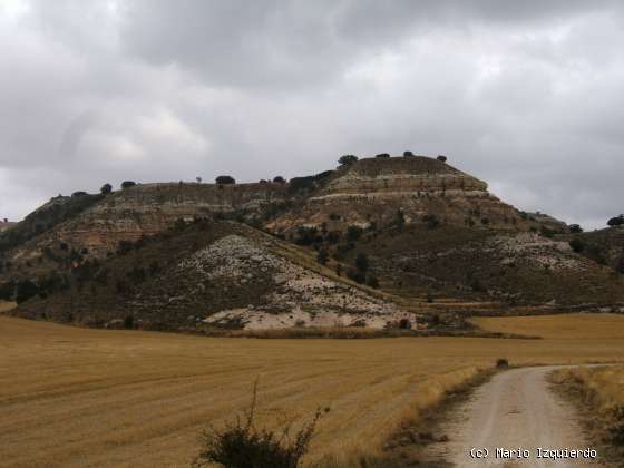 Arcos de Jalón: Mioceno Medio-Superior