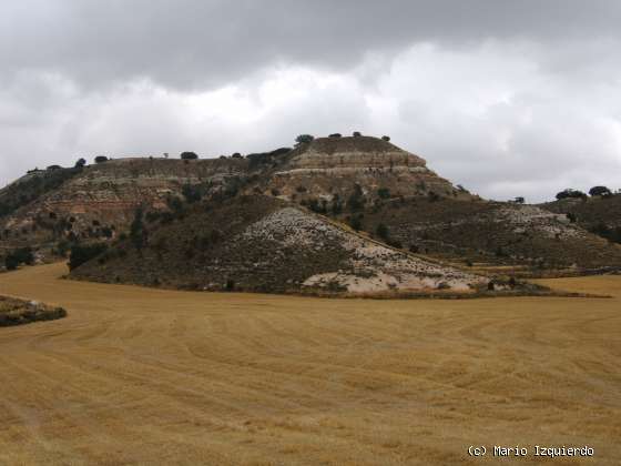 Arcos de Jalón: Mioceno Medio-Superior