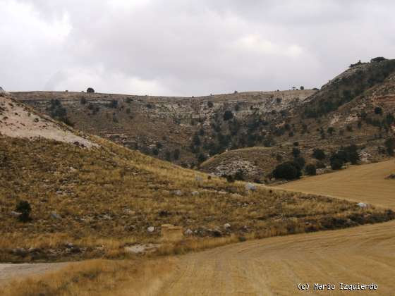 Arcos de Jalón: Mioceno Medio-Superior