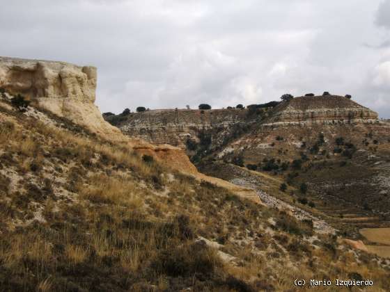 Arcos de Jalón: Mioceno Medio-Superior