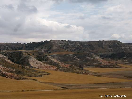 Arcos de Jalón: Mioceno Medio-Superior