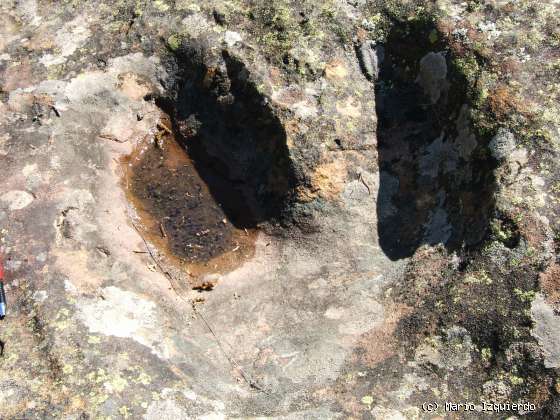 El Royo: Facies Weald - icnofósiles de Terópodos