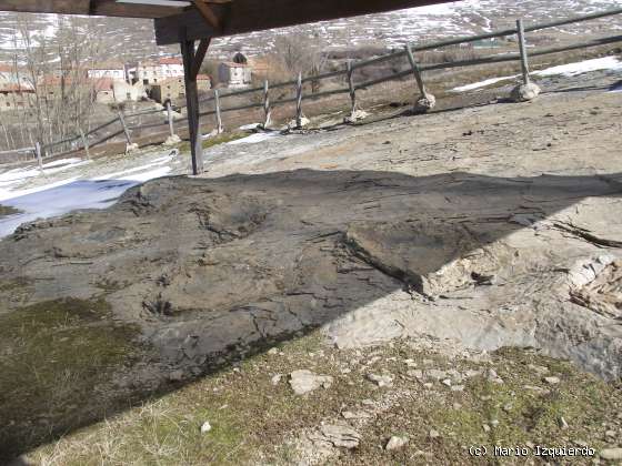 Los Campos: icnofósiles de terópodos y saurópodos