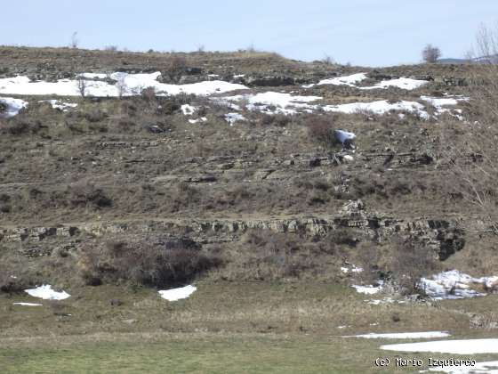 Los Campos: icnofósiles de terópodos y saurópodos