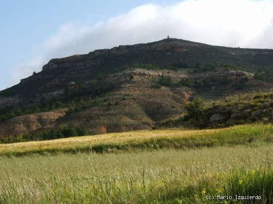 Peñalba de San Esteban: Mioceno